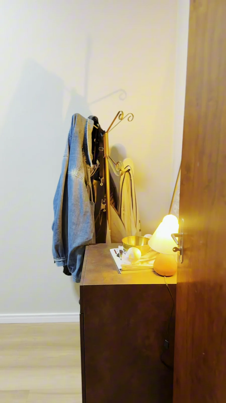 Detalhe da chegada, com cabideiro e luminária acesa.